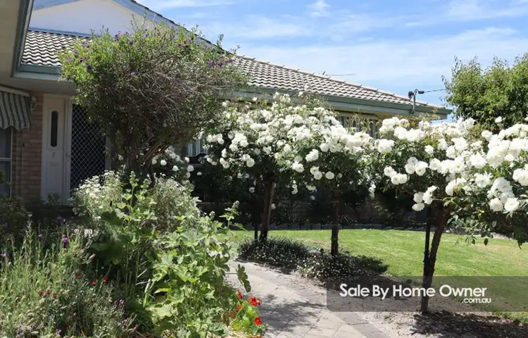 20 Spicer Street, Collie WA 6225