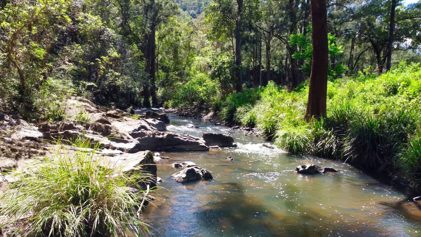 Main view of Homely rural property listing, 571 Bagnoo Road, Byabarra NSW 2446