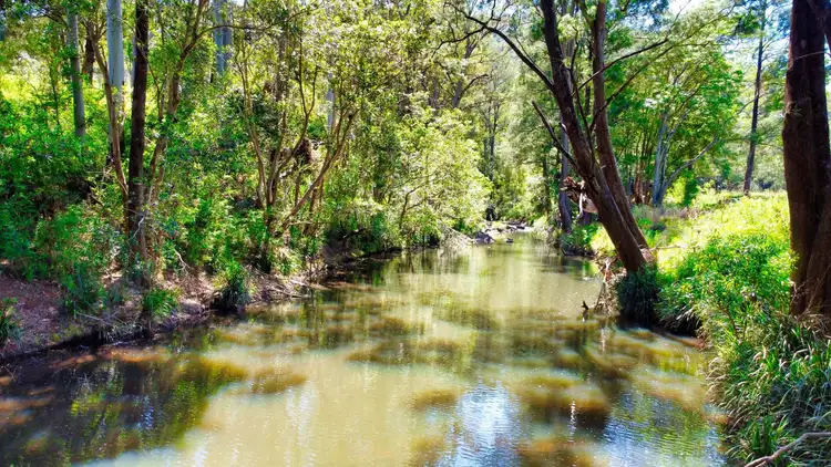 Sixth view of Homely rural property listing, 571 Bagnoo Road, Byabarra NSW 2446