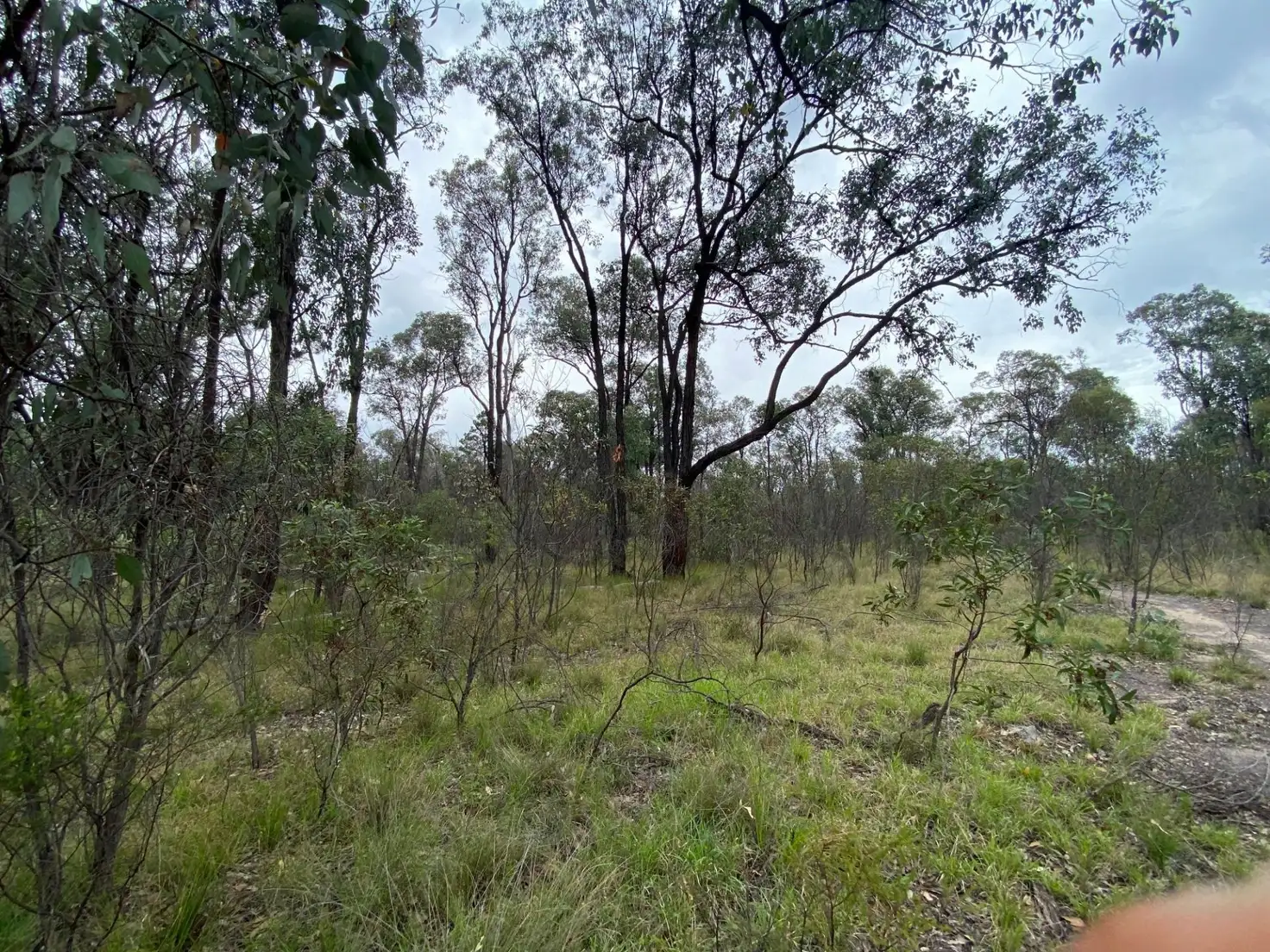 Main view of Homely rural property listing, Lot 25 Vickery Road, Goranba QLD 4421