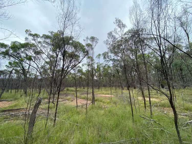 Second view of Homely rural property listing, Lot 25 Vickery Road, Goranba QLD 4421