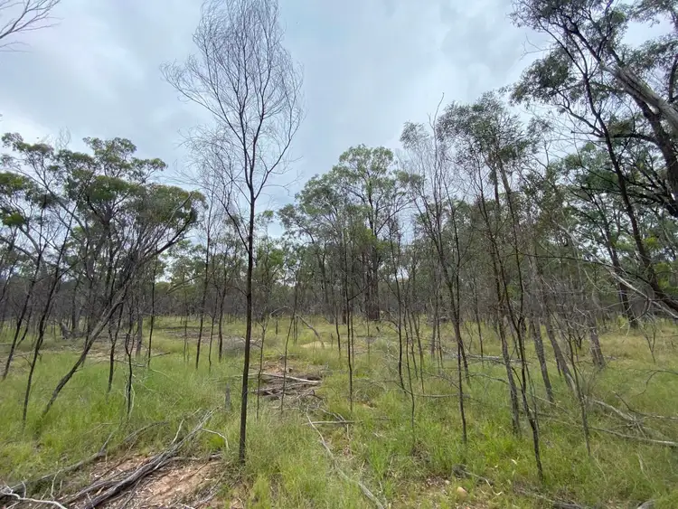 Fourth view of Homely rural property listing, Lot 25 Vickery Road, Goranba QLD 4421