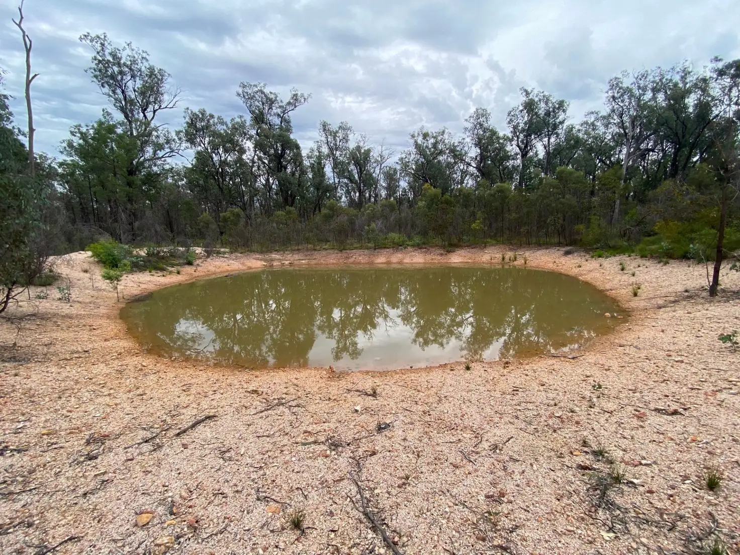 Main view of Homely rural property listing, Lot 43 Veronica Road, Tara QLD 4421
