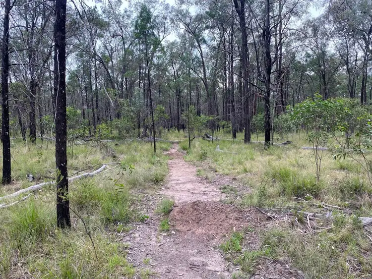 Fourth view of Homely rural property listing, Lot 43 Veronica Road, Tara QLD 4421
