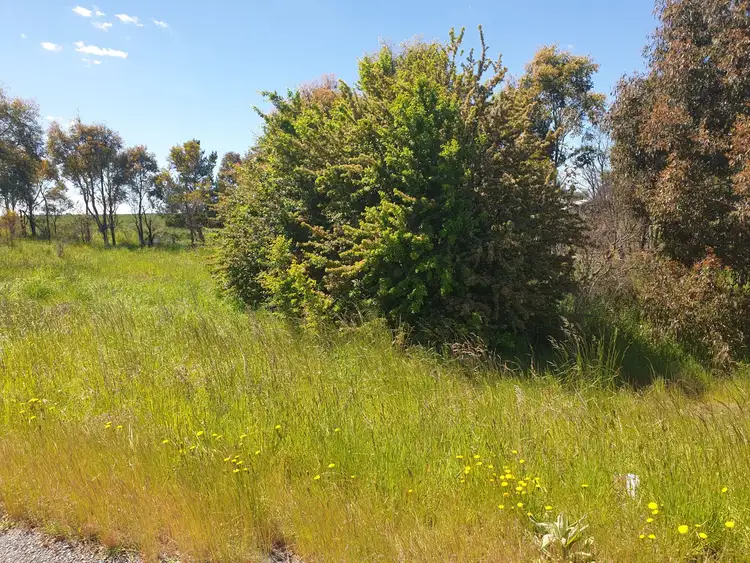 Fifth view of Homely rural property listing, 3145a Mid Western Highway, Kings Plains NSW 2799
