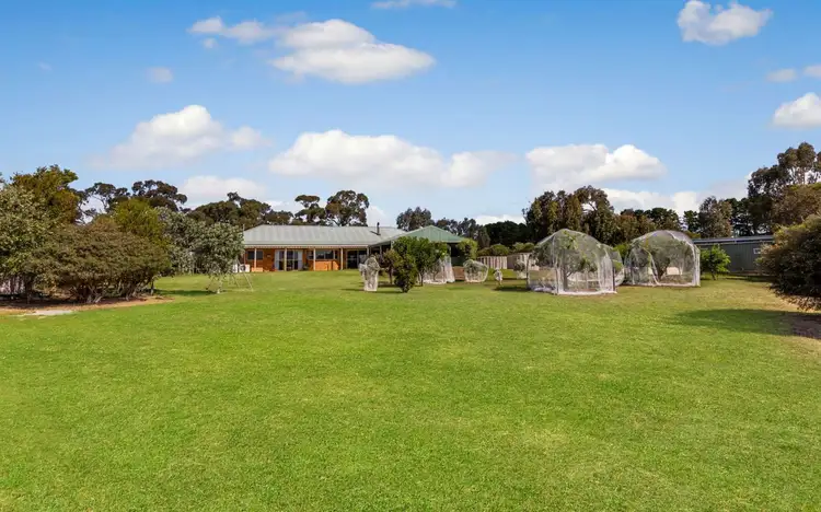 Fifth view of Homely house listing, 111 Ramon Parade, Ravenswood VIC 3453
