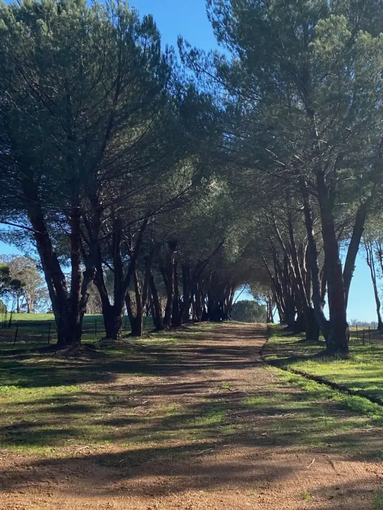 Second view of Homely rural property listing, 1502 Helena Rd, Mount Observation WA 6302