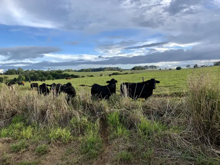 Seventh view of Homely land listing, Lot 23 Malcolm Road, Tinaroo QLD 4872