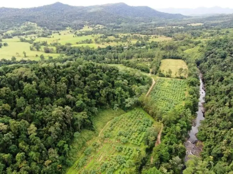 Second view of Homely rural property listing, 73 Brodies Road, Mount Charlton QLD 4741