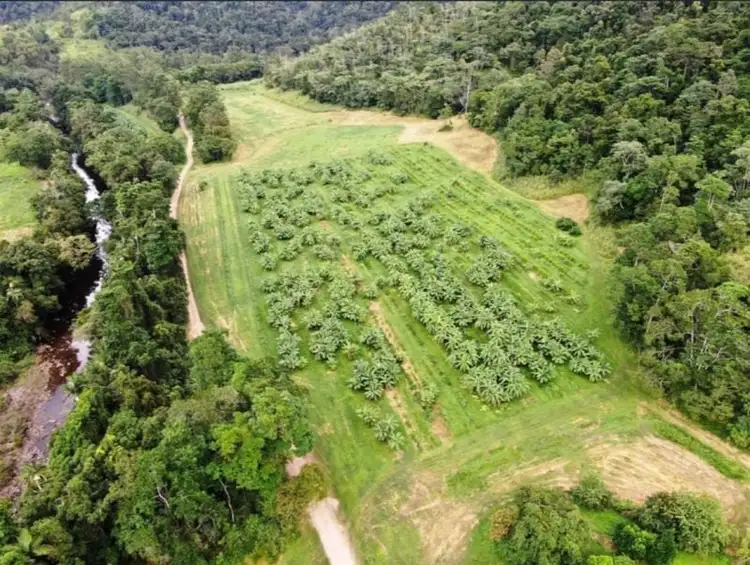 Third view of Homely rural property listing, 73 Brodies Road, Mount Charlton QLD 4741