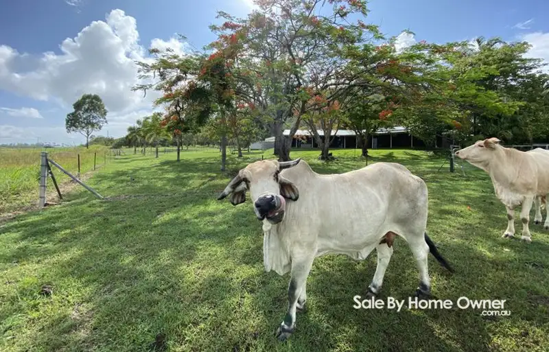 Main view of Homely house listing, 24768 Peak Downs Hwy, Victoria Plains QLD 4751