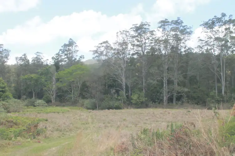 Second view of Homely rural property listing, 1198 Missabotti Road, Missabotti NSW 2449