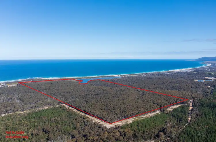 Fifth view of Homely land listing, Lot 1 Tasman Highway, Scamander TAS 7215