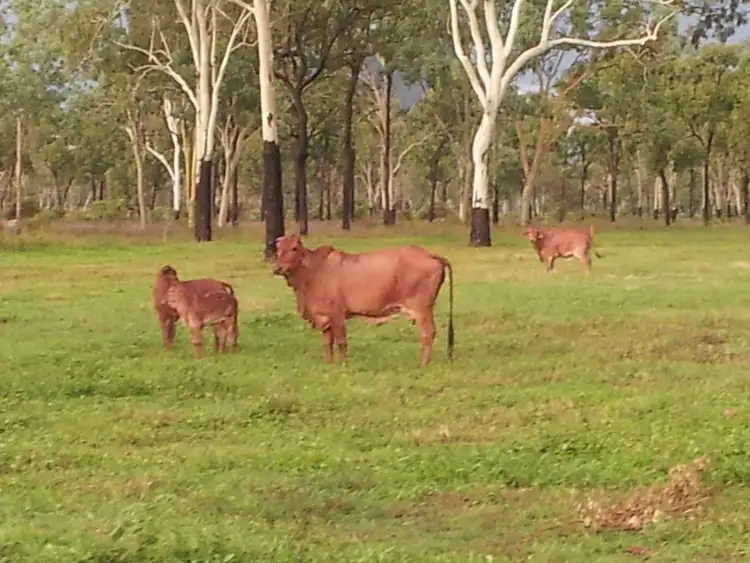 Main view of Homely land listing, Lot 3/2078 Hervey Range Road, Hervey Range QLD 4817