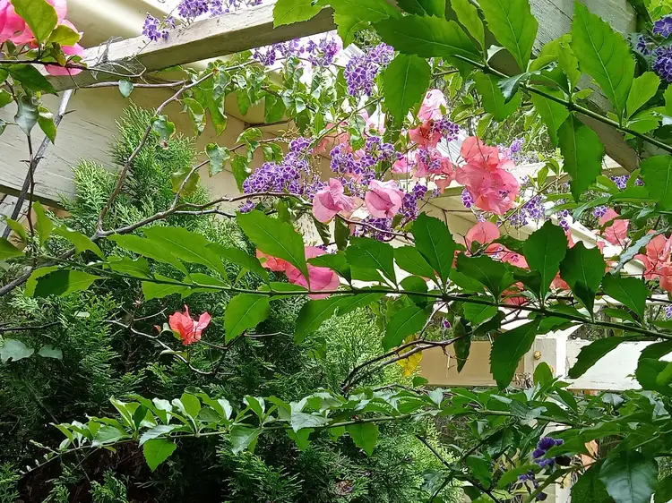Sixth view of Homely house listing, 42 Jacaranda Avenue, Elizabeth Beach NSW 2428