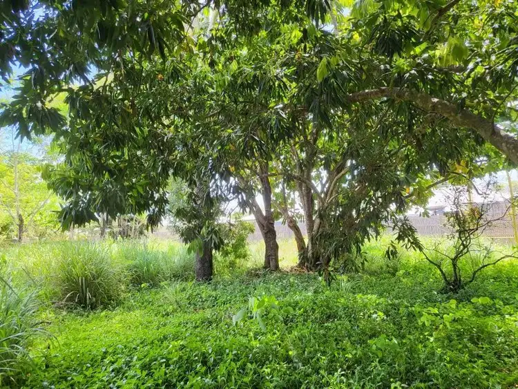 Fifth view of Homely house listing, 101 Shute Harbour Road, Cannonvale QLD 4802
