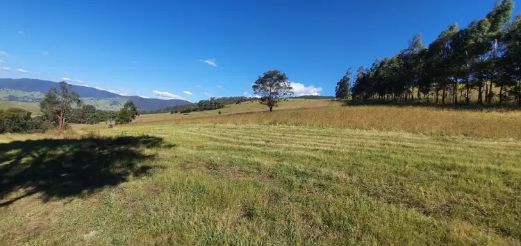 Fifth view of Homely land listing, 8102 Dargo Road, Dargo VIC 3862