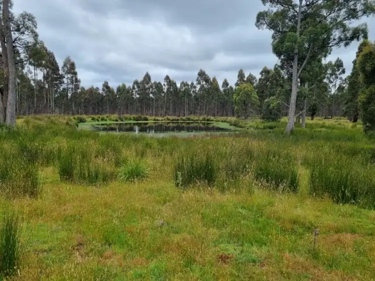 1652 Dennistoun Road, Bothwell TAS 7030