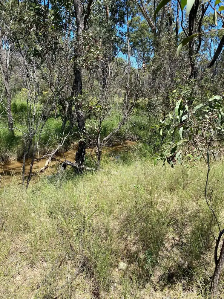 Lot 17 Humbug Road, Tara QLD 4421