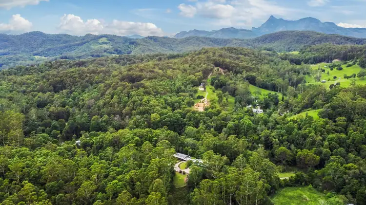 Sixth view of Homely rural property listing, 368 Zara Road, Zara NSW 2484