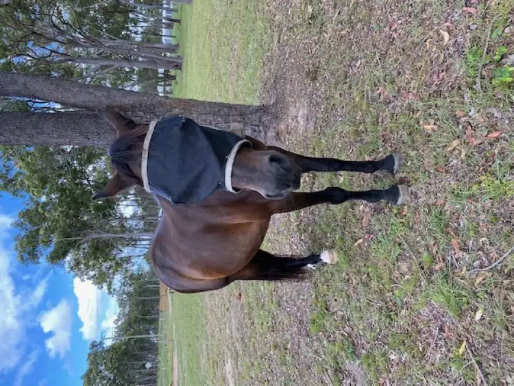 Fourth view of Homely land listing, Lot 23 Malvern Drive, Moore Park Beach QLD 4670