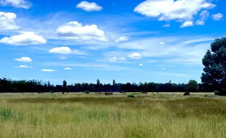 Third view of Homely rural property listing, 2151 Tenomby Road, Wondalli QLD 4390