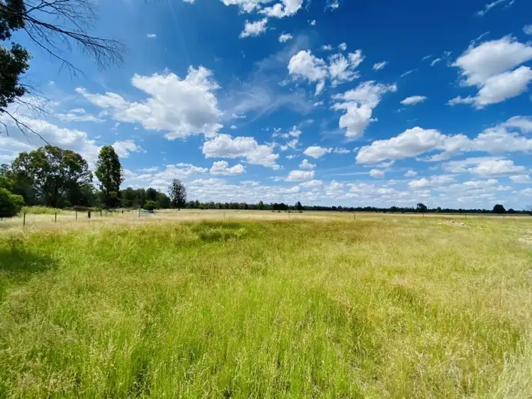 Fifth view of Homely rural property listing, 2151 Tenomby Road, Wondalli QLD 4390