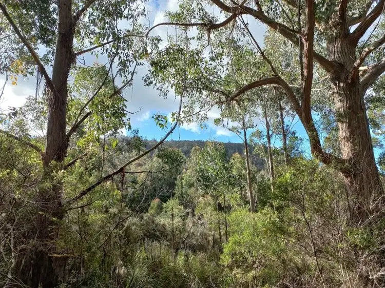 Main view of Homely land listing, 310 Holmes Rd, Ellendale TAS 7140
