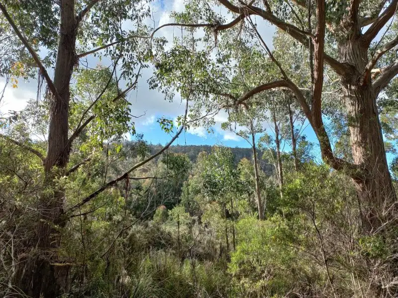 Main view of Homely land listing, 310 Holmes Rd, Ellendale TAS 7140