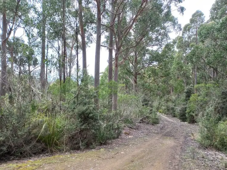 Second view of Homely land listing, 310 Holmes Rd, Ellendale TAS 7140