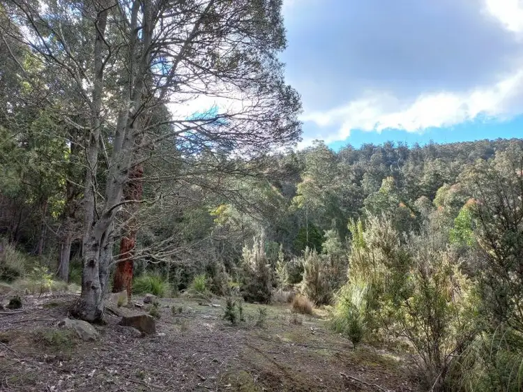 Third view of Homely land listing, 310 Holmes Rd, Ellendale TAS 7140