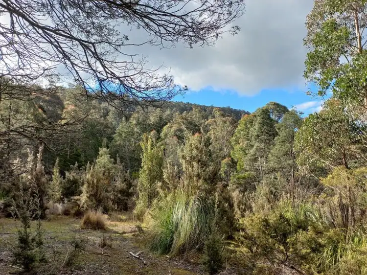 Fifth view of Homely land listing, 310 Holmes Rd, Ellendale TAS 7140