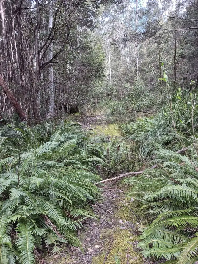 Seventh view of Homely land listing, 310 Holmes Rd, Ellendale TAS 7140