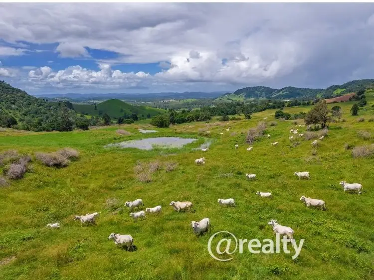 540 Calico Creek Road, Calico Creek QLD 4570