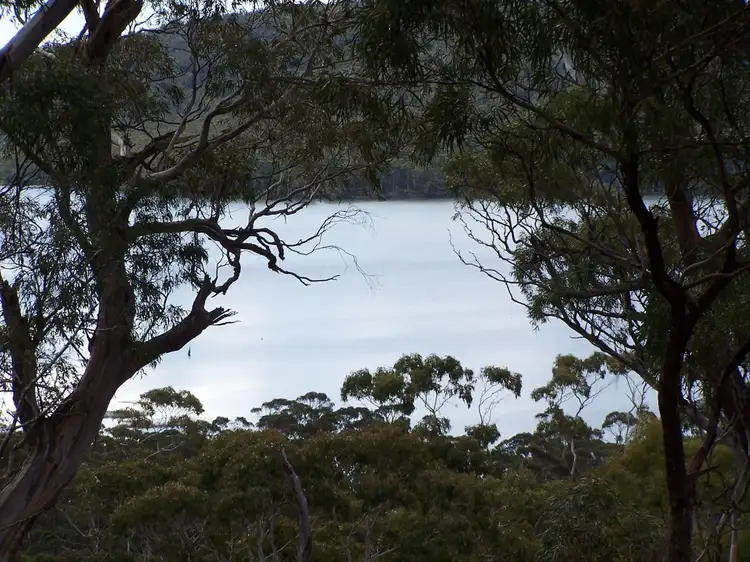 Main view of Homely rural property listing, 43 Little Spit Road, Lake Leake TAS 7210