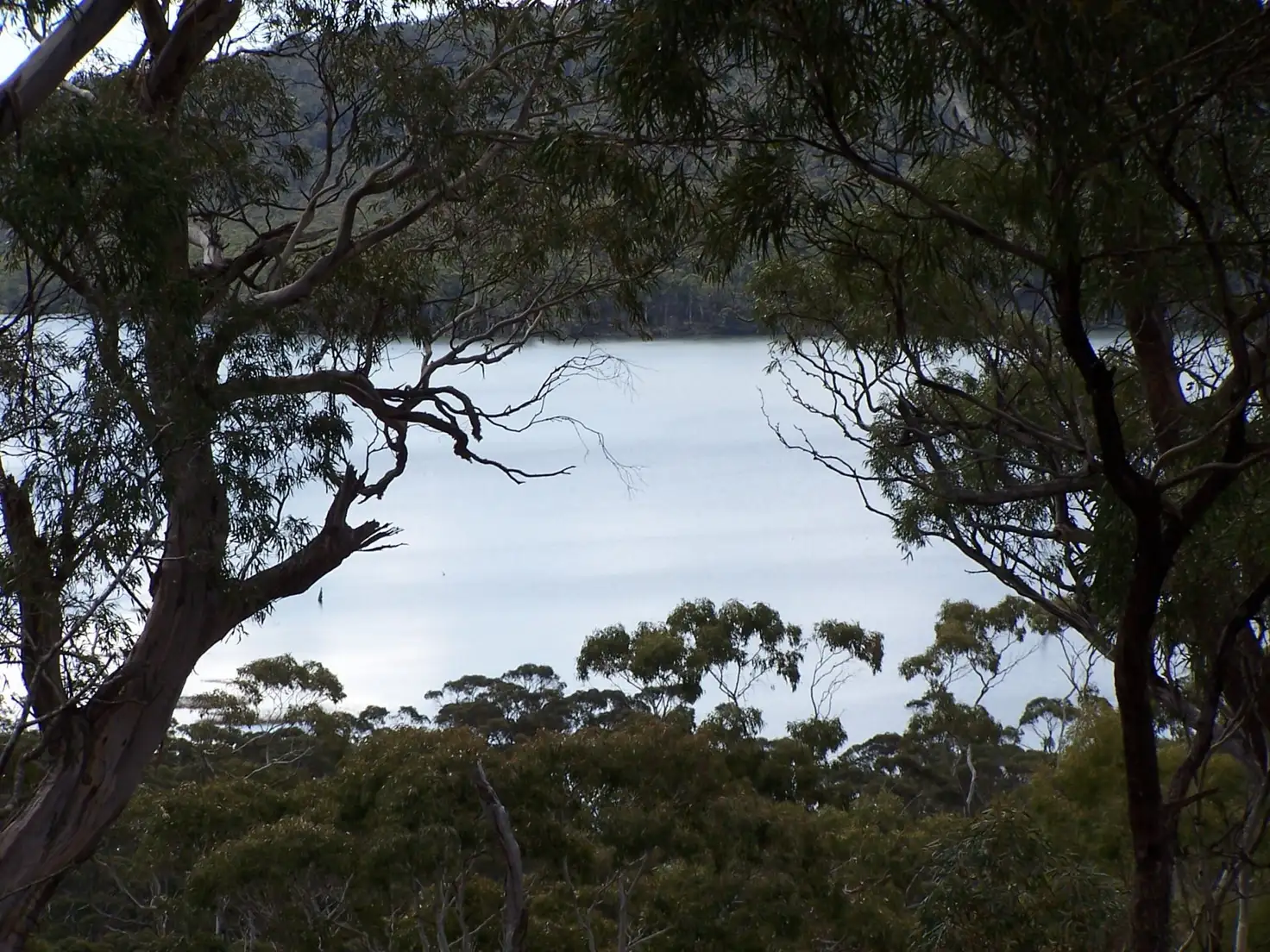 Main view of Homely rural property listing, 43 Little Spit Road, Lake Leake TAS 7210