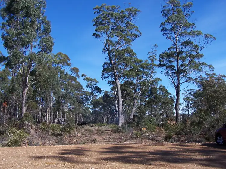 Fourth view of Homely rural property listing, 43 Little Spit Road, Lake Leake TAS 7210