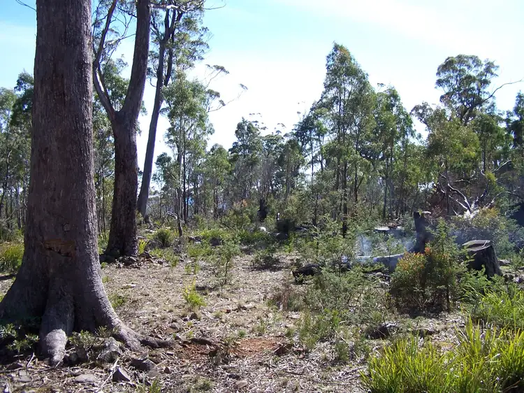 Fifth view of Homely rural property listing, 43 Little Spit Road, Lake Leake TAS 7210