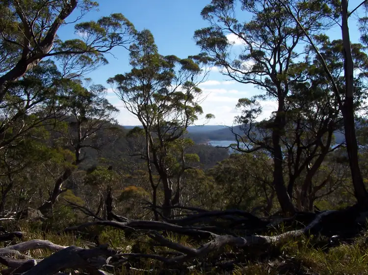 Seventh view of Homely rural property listing, 43 Little Spit Road, Lake Leake TAS 7210
