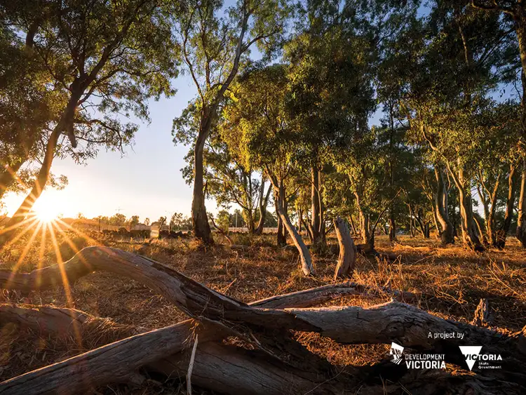 Fifth view of Homely townhouse listing, Lot 32 Sugarloaf Circuit, Wollert VIC 3750