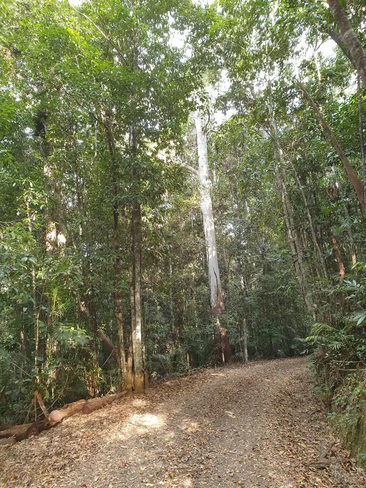 Fifth view of Homely land listing, Address available on request