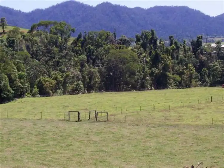 Second view of Homely rural property listing, 423 Mena Creek Road, Mena Creek QLD 4871