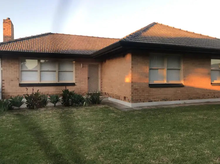 Main view of Homely house listing, 31 Coorara Ave, Payneham South SA 5070