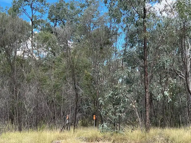 Third view of Homely rural property listing, Lot 99 Bennetts School Road, Tara QLD 4421