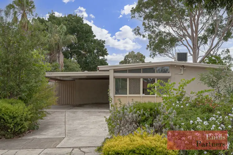 13 Ifould Road, Elizabeth Park SA 5113