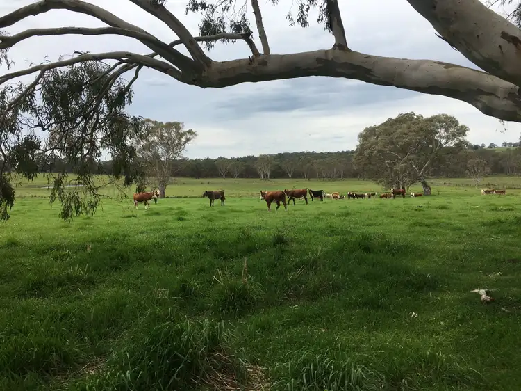 Third view of Homely rural property listing, 3010 Casterton-Edenhope Road, Chetwynd VIC 3312