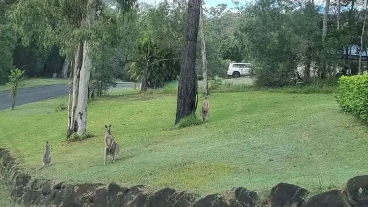 Fourth view of Homely rural property listing, 18 Kookaburra Drive, Gilston QLD 4211
