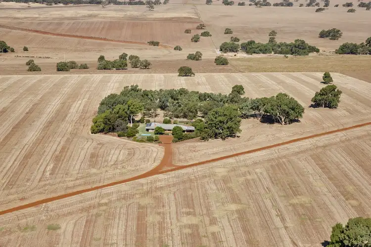 Second view of Homely rural property listing, 4258 Dandaragan Road, Dandaragan WA 6507
