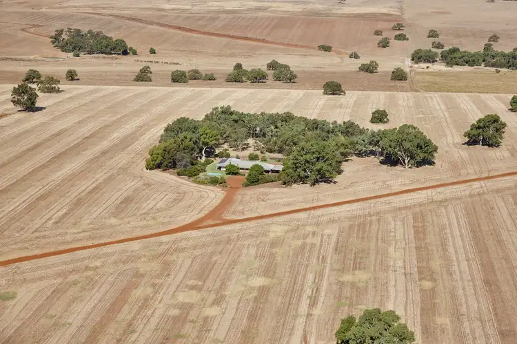 Third view of Homely rural property listing, 4258 Dandaragan Road, Dandaragan WA 6507