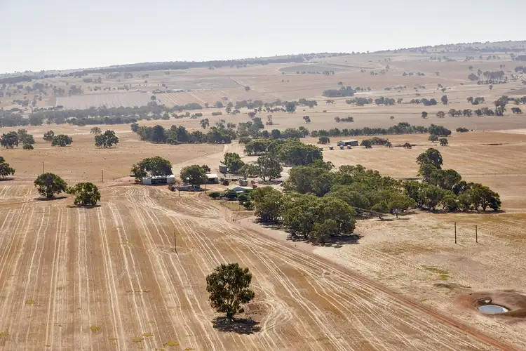Fourth view of Homely rural property listing, 4258 Dandaragan Road, Dandaragan WA 6507